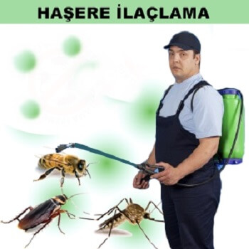 Karamürsel Böcek İlaçlama
